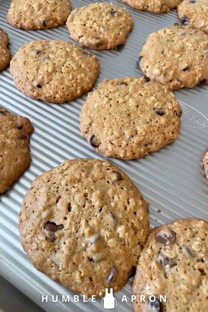 Sourdough Discard Oatmeal Chocolate Chip Cookies on a cookie sheet