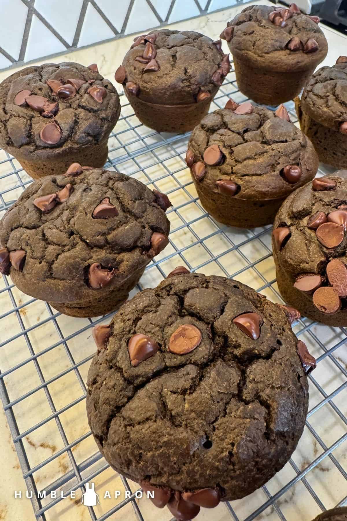 Chocolate muffins with chocolate chips on top are cooling on a wire rack on a kitchen counter. The muffins look moist and rich, and there is a Humble Apron watermark in the lower left corner.