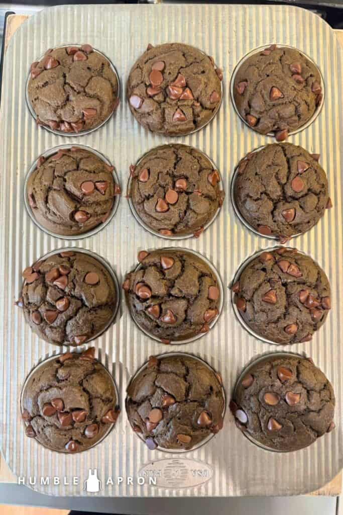 A baking tray holds 12 freshly baked chocolate muffins, each topped with chocolate chips. The muffins are in silver liners, and the tray is embossed with HUMBLE APRON at the bottom left.